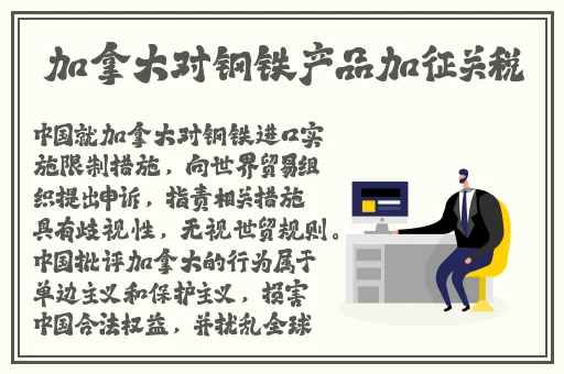 国产精品视频免费的